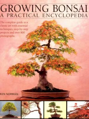 Practical Ency. Growing Bonsai K264 PB