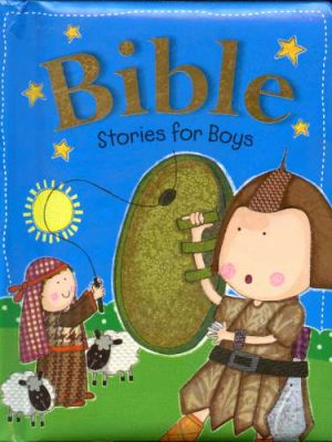 Bible Stories for Boys