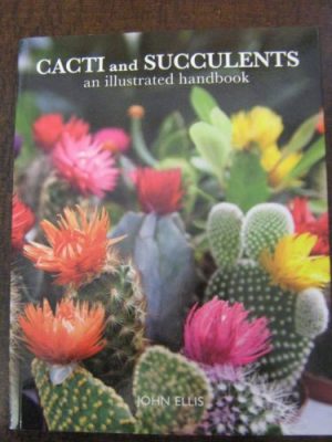 cacti and Succulents