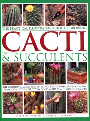 Practical Ill. Guide to Growing Cacti & Succulents K624