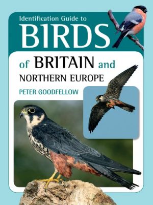 Birds of Britain and Northern Europe: Identification Guide