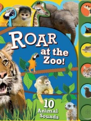 Roar at the  Zoo 10 Button Sound Book