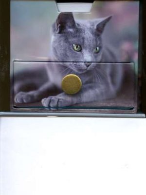 Cats Memo Cube with Draw