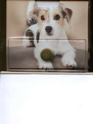 Dogs Memo Cube