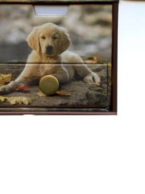 Dogs & Puppies Memo Cube