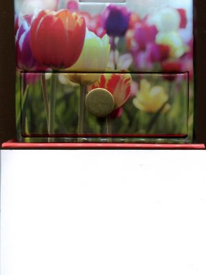 Spring Flowers Memo Cube