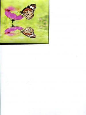 Flowers & Butterflies Memo Cube