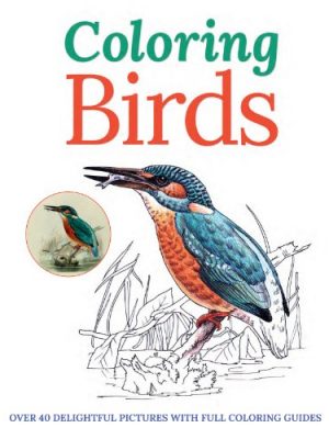 Colouring Birds (Colouring Books)