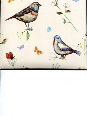 Birdsong Memo Cube