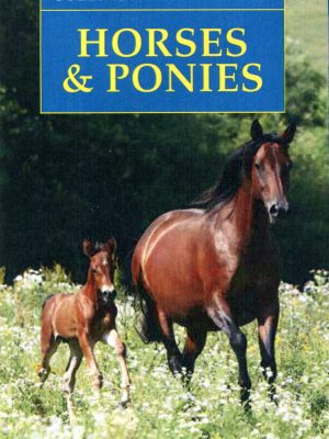 Horses & Ponies, Collins Nature Guide DUE MARCH 2017