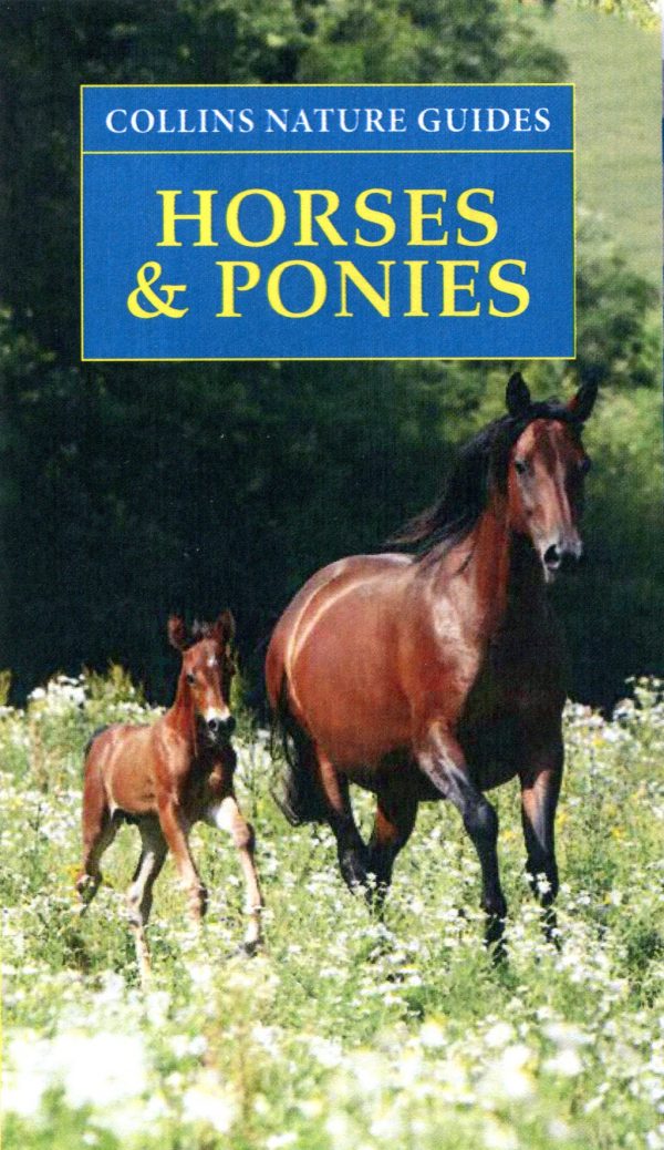 Horses & Ponies, Collins Nature Guide DUE MARCH 2017