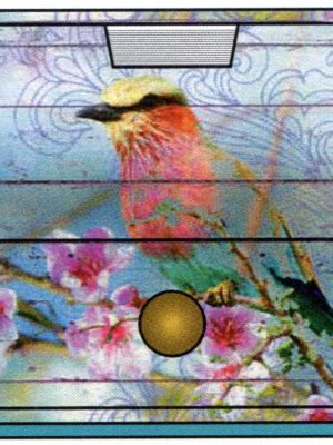 Dawn Chorus Memo Cube with Draw