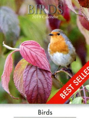 Birds Square Wall Calendar