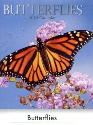 Butterflies Calendar