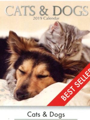 Cats & Dogs Calendar