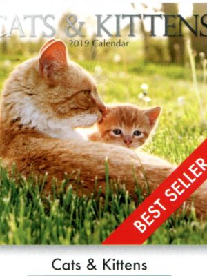 Cats & Kittens Calendar
