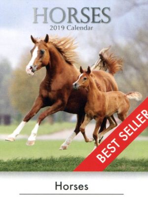 Horses Calandar
