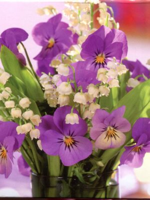 Purple Viola Memo Cube