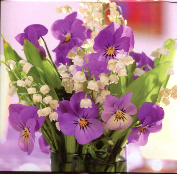 Purple Viola Memo Cube
