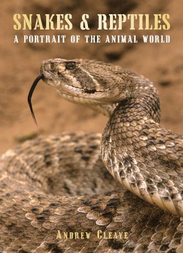 Snakes & Reptiles: A Portrait of the Animal World PB