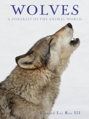 Wolves (A Portrait of the Animal World) PB