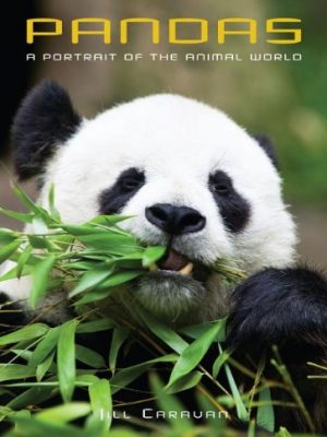 Pandas: A Portrait of the Animal World PB