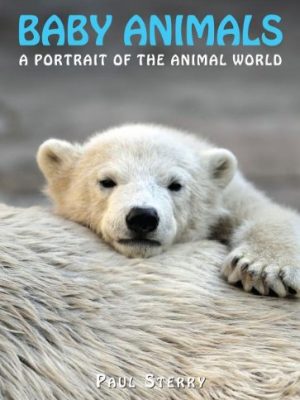 Baby Animals: A Portrait of the Animal World