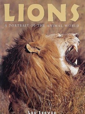 Lions: A Portrait of the Animal World PB