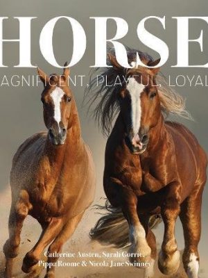 Horse: Magnificent Playful Loyal (Best Kept Secrets)