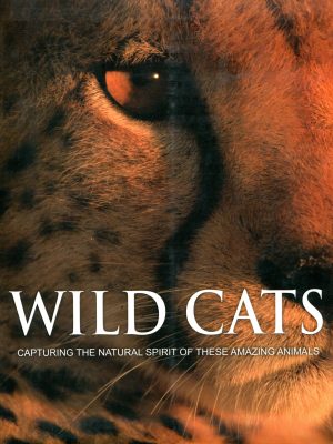 Wild Cats