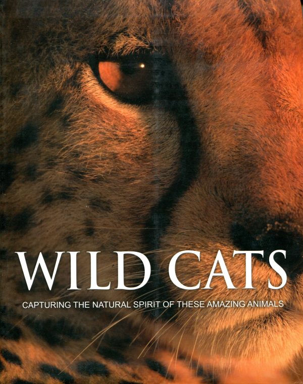 Wild Cats