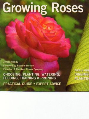 Growing Roses: Plan, Plant and Maintain