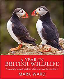 A Year in British Wildlife: A Detailed Account Of The Changing Seasons And Its Effects On British Wildlife