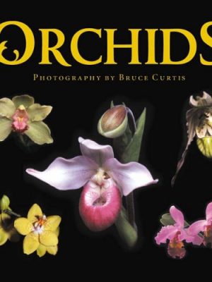 Orchids