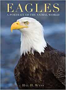 Eagles: A Portrait of the Animal World