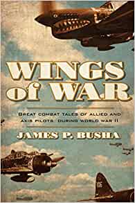 Wings of War: Great Combat Tales of Allied and Axis Pilots During WW II