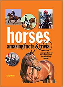 Horses Amazing Facts & Trivia