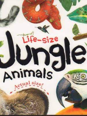 Life-size: Jungle Animals (Life-size Boards)