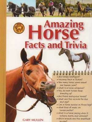 Amazing Horse Facts and Trivia