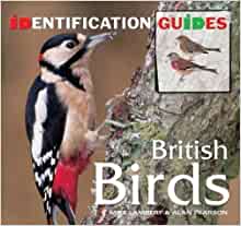 British Birds: Identification Guide (Identification Guides)