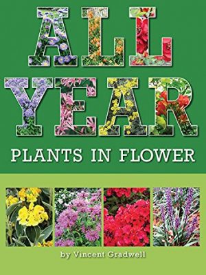 All Year Plants in Flower