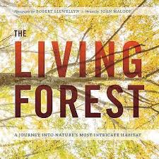 Living Forest, The: A Journey Into Nature's Most Intricate Habitat